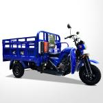 2021 Rear Spring Leafs 4 2 320 *80 Citycoco Electric Scooter Tricycles for Adult