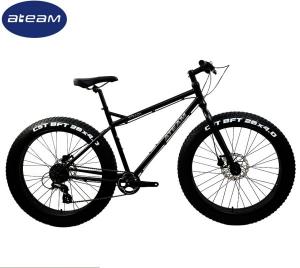China 8 Speed 26 Inch Fat Tire Bike Steel Chromoly Black factory
