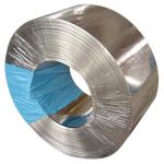 317 Stainless Steel Coil Slit Edge Cold Rolled 2B Surface UNS S31700 ASME SA409