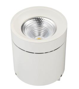 China LEDs Type: CREE, CITIZEN COB LED, Lifud/Meanwell Driver,6063 Aluminum Housing + Plastic Reflector,Triac/ 0-10V/ DALI, factory