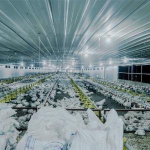 China ISO Chicken Farm Equipment 271rpm 325rpm Water Nipple Drinker Chicken Feeder factory