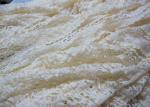 Eco-Friendly Stretch Lace Cotton Spandex Fabric , Beige Elastic Lace Trim CY