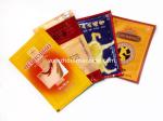 Hot Sale Automatic Four Side Seal Horizontal Flow Wrapper for Solid Products