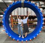 C2F Double Expansion Joint Flange Limit Expansion Carbon Steel Ductile Iron