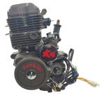 250cc DAYANG LIFAN Motorcycle Engine Assembly Single Cylinder Four Stroke Style