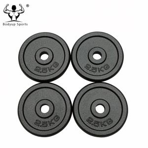 China Black Paint Reliable Cast Iron Weight Discs For 1 Inch Diameter Dumbbell factory