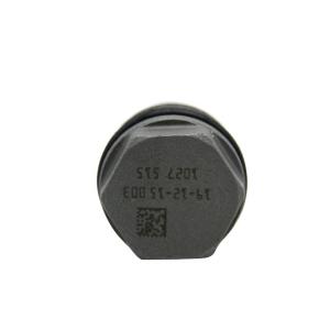 China Fuel Rail Pressure Limiter Diesel Injector Relief Valve 1110010027 factory