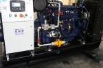 Good 100kw Natural Gas/Biogas Power Generator with 1500RPM Speed and CE/ISO