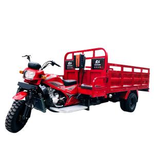 China 200cc Tricycle Engine Heavy Loading 1 Ton Cargo Box Gaso for Adults Farm from Chinese factory