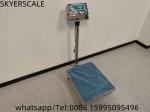 Platform Bench Stainless Steel Waterproof Weighing Scales Inox 200kg Scale