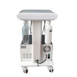 Veterinary Dental Equipment Pet Tooth Treatment Machine Move At Will Vet Use Pet