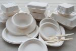 Eco-Friendly Disposable 6" 7" 8" 9" 10"Sugarcane Bagasse Paper Round Plates