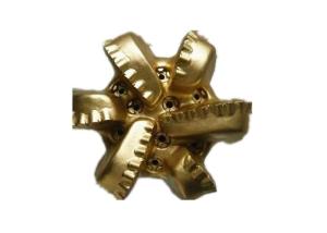 China 3-9 Blades Hard Rock PDC Drill Bits Deep Drilling Matrix Steel ISO Certified factory