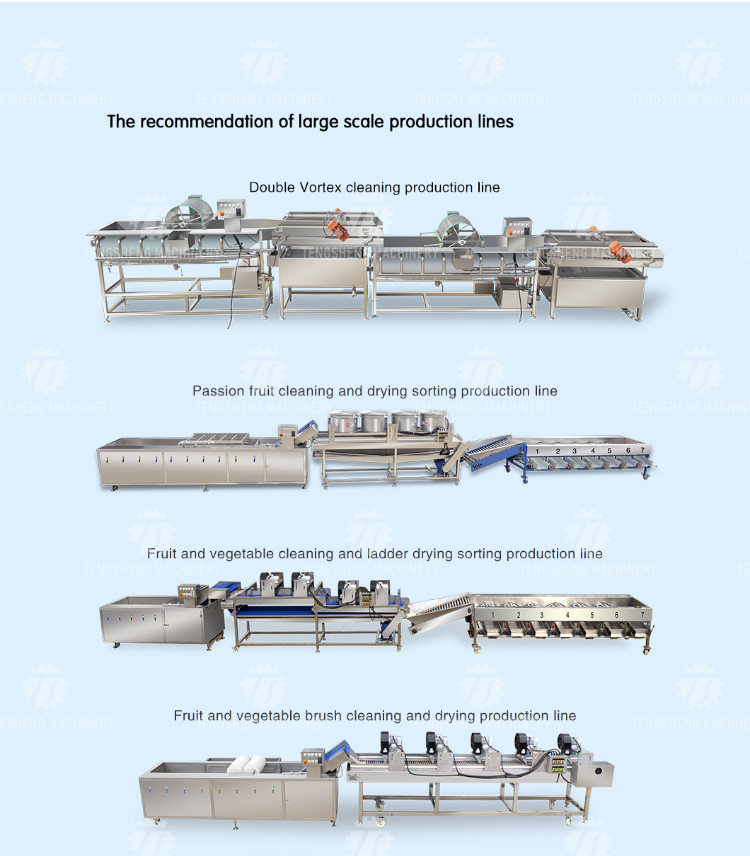 Multifunctional SS Vegetable Processing Machine Pawpaw Melon Separator