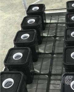 China Medical Plants High Yield Aeroponic Grow Boxes Pollution Free factory