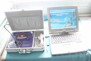 China 32 German Reports Mini Quantum Body Health Analyzer CE Approved factory