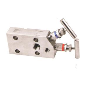 China Two Valve 6000 Psi 200C Differential Pressure Manifold PTFE Seat factory