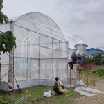 Galvanized Steel Pipe Frame Tunnel Greenhouse for Vegetables and Fruits