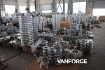 Durable ASTM ASME Annealed Forged Steel Flange Fully Machined High Hardness