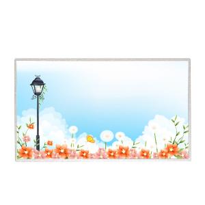 China New Size 15.6 inch B156XTN02.6 100PPI LCD Screen factory