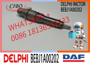 China Fuel Injector Assembly BEBJ1A05002 BEBJ1A00202 BEBJ1A05001 1905001 1846419 1905002 factory
