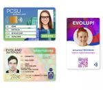 High Efficiency Single Side Evolis Primacy 2 Plastic PVC Smart ID Card Printer