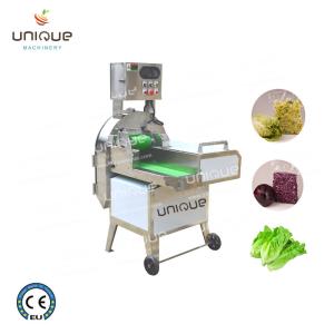 China 600-1500 kg/h Capacity Leafy Greens Cutting Machine Vegetable Belt Cutter factory