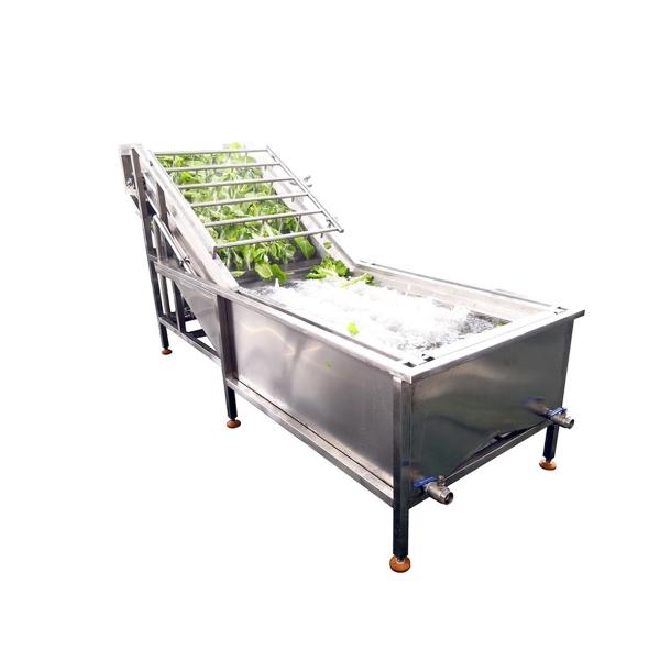 China SUS304 Automatic Fruit Processing Equipment Blueberry Washing Machine factory