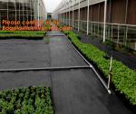 Garden Agricultural Weed Mat,Plastic Ground Cover, Weed Control Mat, pp woven
