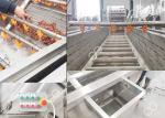 GELGOOG Jujube Dates Fruit Washing Machine Continously High Capacity