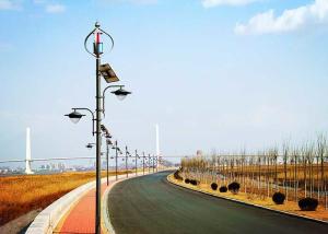 China Professional Wind And Solar Hybrid Street Light System 80W Solar Panel factory