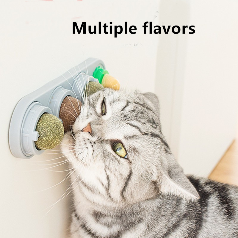 catnip wall ball toys