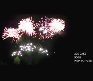China Fan Shaped 30 Shots Cakes Fireworks 500G 25*30*200mm For Celebration factory