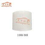 Ceramic Carrier Catalyst High Quality Euro 1-5 Model 100 X 80