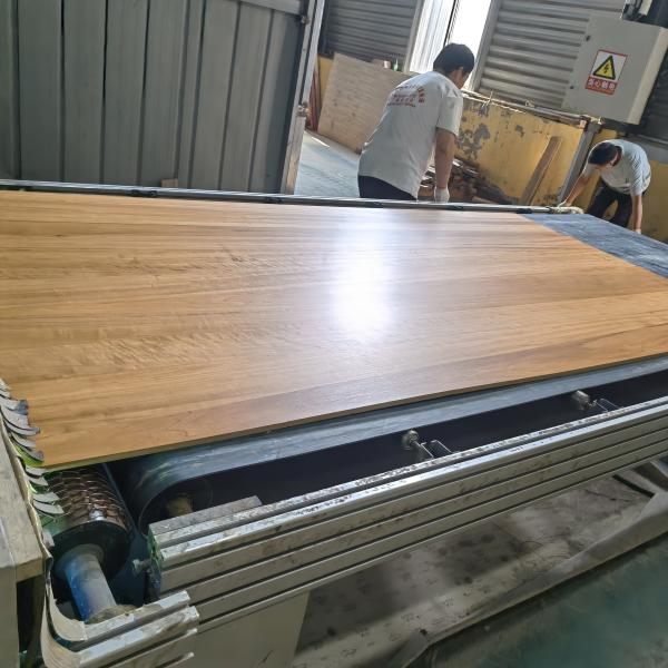 High Gloss UV Coating Poplar Board with FSC Certification and Moisture Content 8