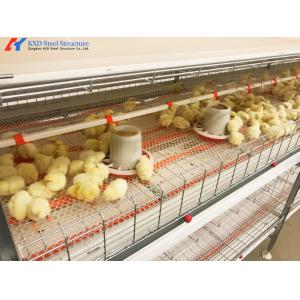 Fully Automatic Galvanized Poultry Farm Layer Cage with Feeding System
