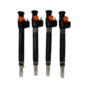 China Common DELPHI Diesel Fuel Injectors 9674984080 DS7Q-9F593-BB 28319895 28388960 28602948 factory