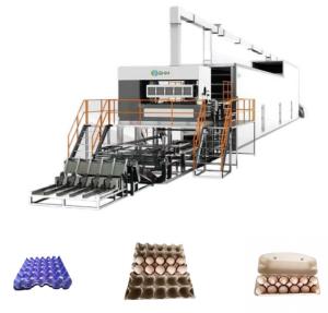 China Customized Paper Tray Making Machine Production Line Molded Pulp Packaging factory