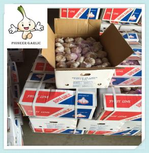 China High Quality Chinese Fresh Garlic 4.5CM fresh garlic factory fresh white garlic factory