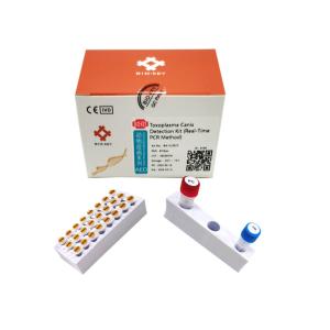 China Canine Toxoplasma Test Kit CTOX Polymerase Dog DNA QPCR Taqman Probe factory