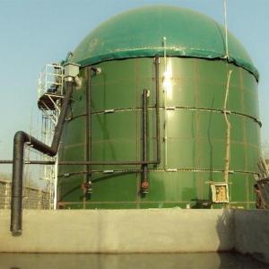 China Green Color Dual Membrane Biogas Dome Gas Holder Anti Corrosion Shockproof factory