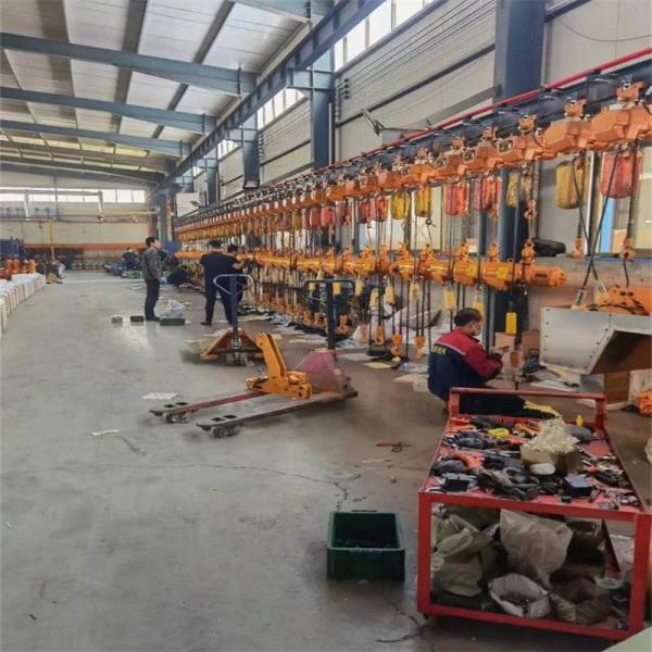 OEM Electric Chain Hoist Remote control Workshop Use for I-Beam and Jib Crane