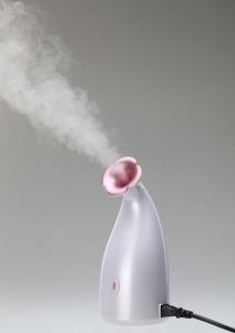 China Nano ionic Facial steamer factory