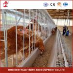 Chicken Farm 1000 Birds Automated Battery Cage System Poultry 4 Cells For