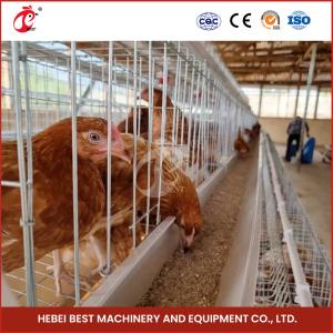 China 200 Birds Capacity Commercial Farming Chicken Cages With Provided Video Installation Star factory