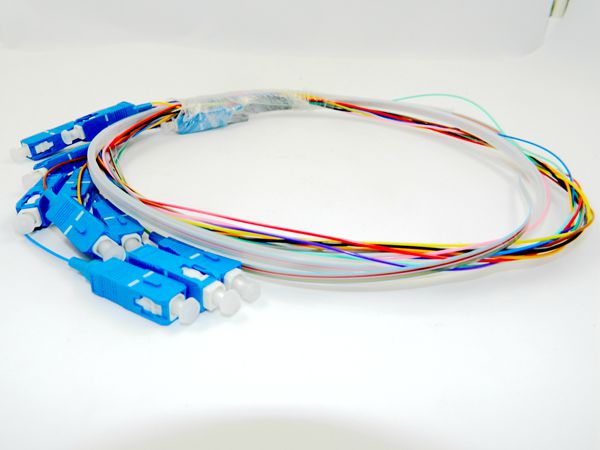 1310nm 1510nm SC UPC 12 Fiber 900um Optic Fiber Pigtail