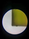 Sic Laser Cutting Service For Sic Chips By 0.5x0.5mm Square Plates