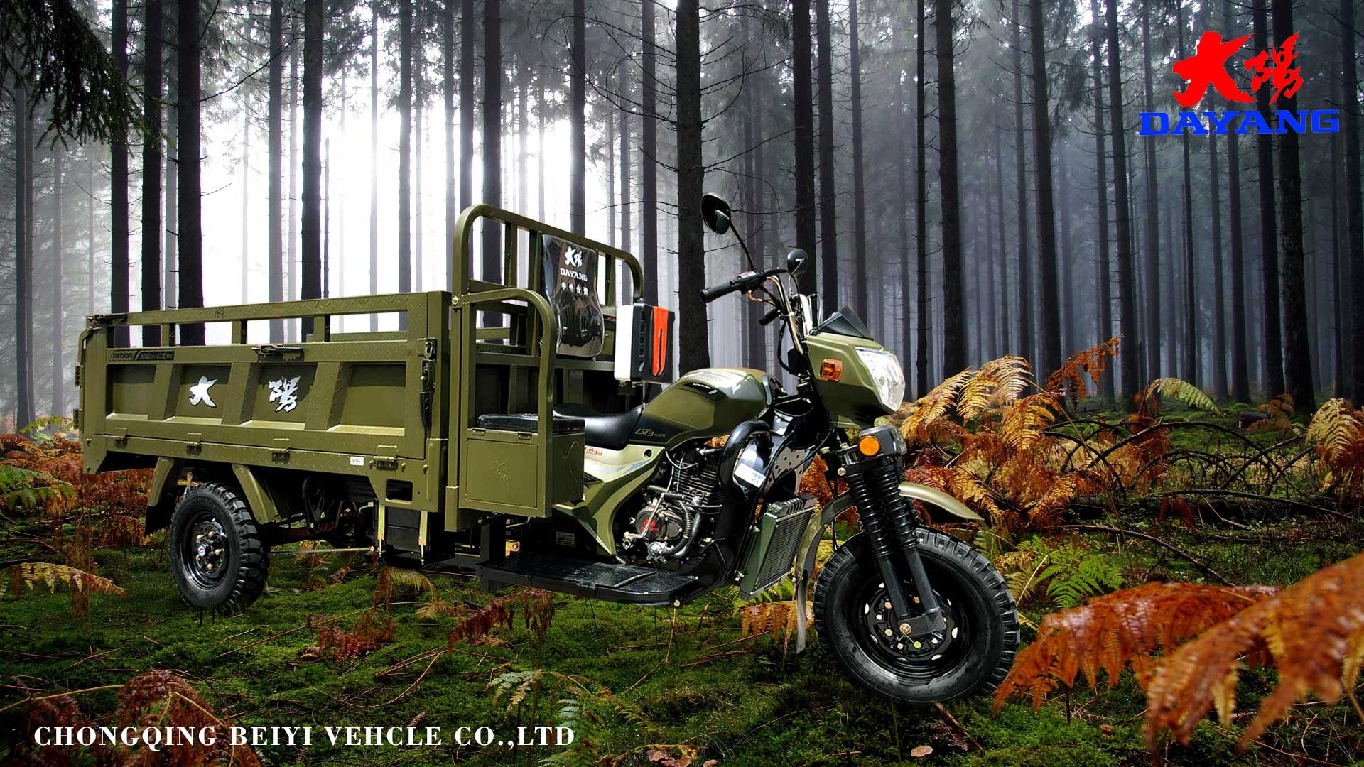 High Grade Ability 1500KG Loading Air Cooled Cargo Motorcycle Tricycle for Heavy Duty