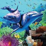 Promotional Pictures Designs 3D Lenticular Plastic pictures 3d lenticular animal