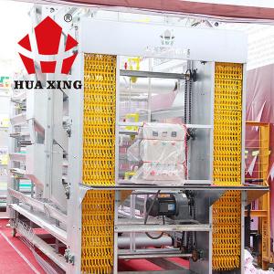 China Eggs Collecting Layer Poultry Farming Equipment , Steady Poultry Automation Equipment factory